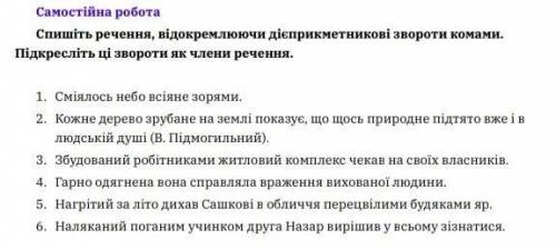 с самостоятельной по украинскому языку)✌️