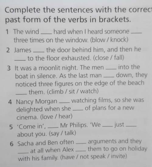 Complete the sentences with the correct past form of the verbs in brackets