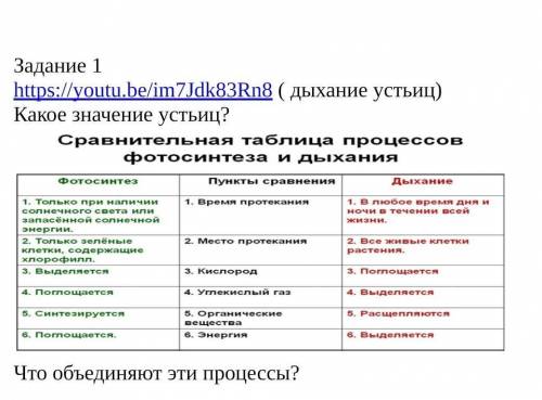 ( дыхание устьиц)Какое значение устьиц?Что объединяют эти процессы?​