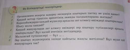 Отинем КОМЕКТЕСІҢІЗДЕРШ ТЕЗ ТЕЗ ӨТІНЕМ