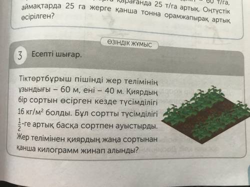 Номер 3 19 страница бөлім 3