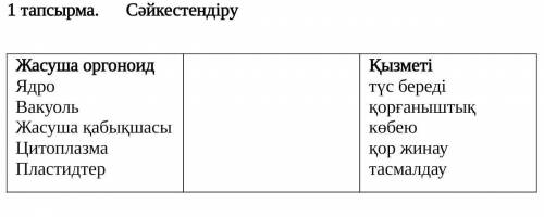 1 тапсырма. Сәйкестендіру Жасуша оргоноидЯдроВакуольЖасуша қабықшасыЦитоплазмаПластидтерҚызмет