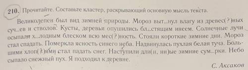 тема :имя прилагательное в языке и речи упражнение 210