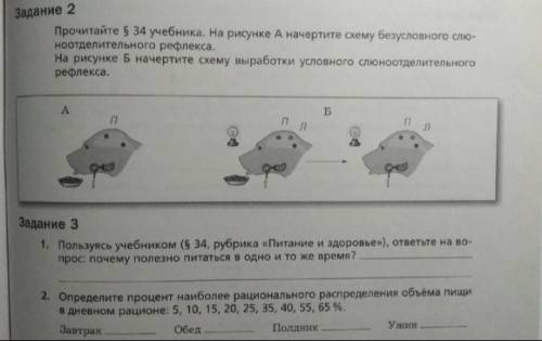 если что 8 класс. все задания 