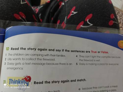 Read the story again and say if the sentences are True or False10 упр