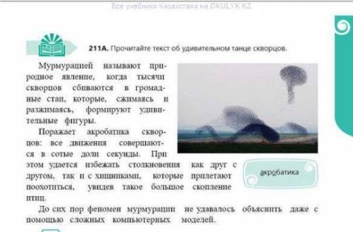 Определите стиль речи (публицистический), для какой аудитории предназначен текст, составьте тонкий и