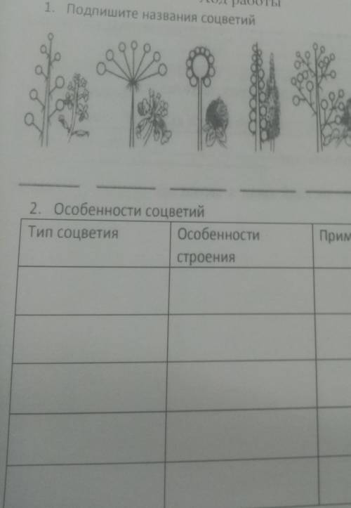 Третий столбик Примеры растений