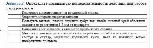 Определите правильную последовательность микроскопа
