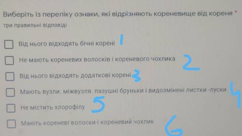 Ознаки, які відрізняють кореневище від кореня ​