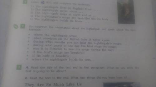 Put together the information about the nightingale and Speak about this bird.
