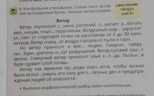 Сделайте морфологический разбор имён числительных 