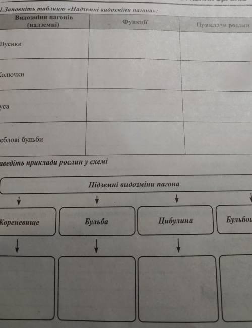 Це дуже важливо будь ласка