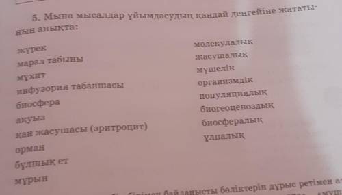 5. Мына мысалдар ұйымдасудың қандай деңгейіне жататынын анықта: