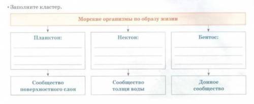 заполните кластер по географии