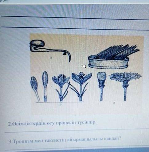 лучший ответ дегенди берем
