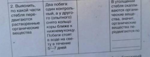 какие наблюдения во 2 опыте?