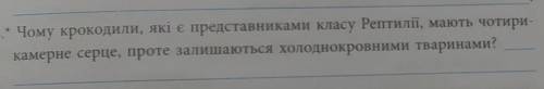 Скажіть будь-ласка що тут