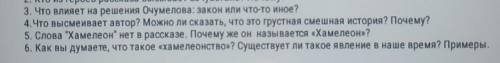 Рассказ Чехова Хамелеон, ответить на вопросы!