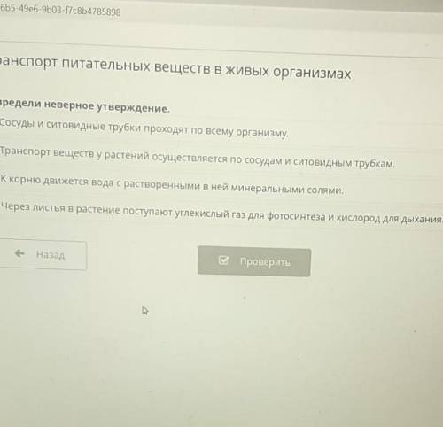 Определение верное утверждение