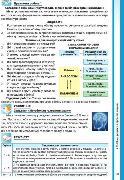 Практична робота 1 Складання схем обміну вуглеводів, ліпідів та білків в організмі людини