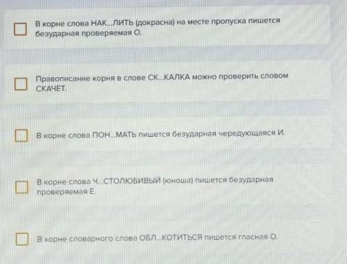 Какие утверждения верны? 