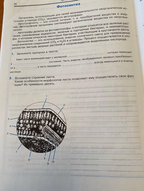 Биология 10 класс Тема Фотосинтез.