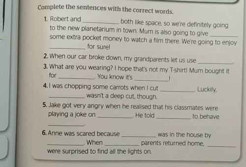 Complete the sentences with the correct words