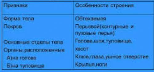 Заполнить таблицу Внешнее строение птиц