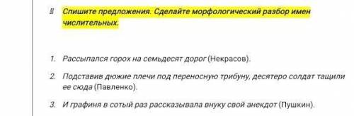 У МЕНЯ СОЧНЫЙ СДЕЛАЙТЕ 2 ИЛИ 3 1 УЖЕ ГОТОВЫ