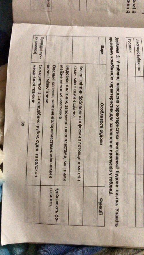 у таблиці наведена характеристика внутрішньої будови листка. укажіть правильну комбінацію характерис