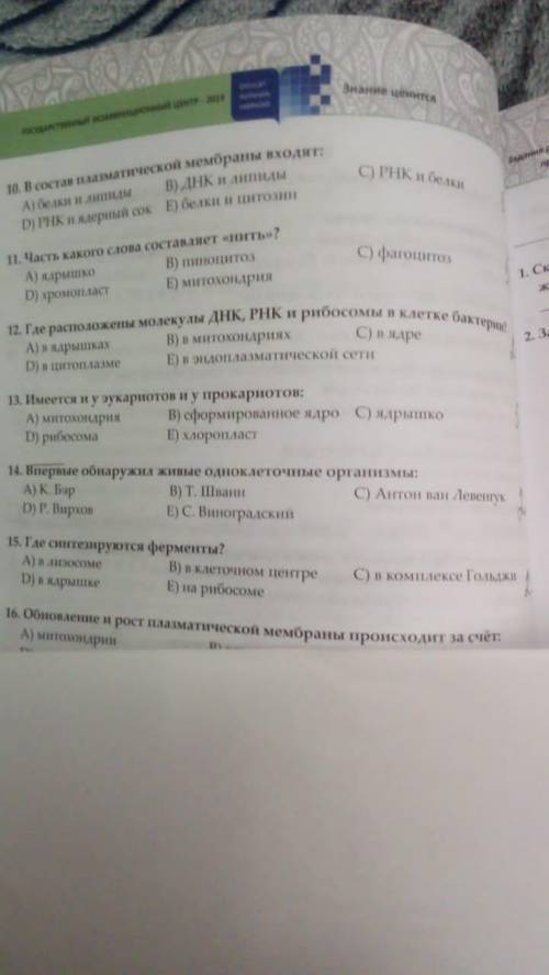 с БСО это для меня очень важно