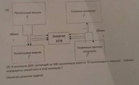 но пусть бог вас судит за неправильный ответ​