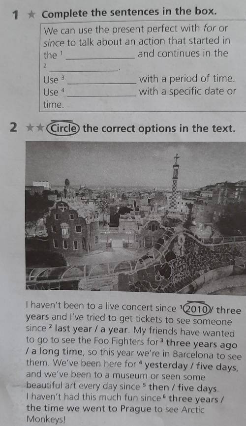 Ex 1.2 p 46 Workbook. Eyes Open көмектесіндерші