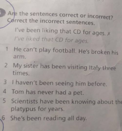 Ate the sentences correct or incorrect? Correct the incorrect sentences.