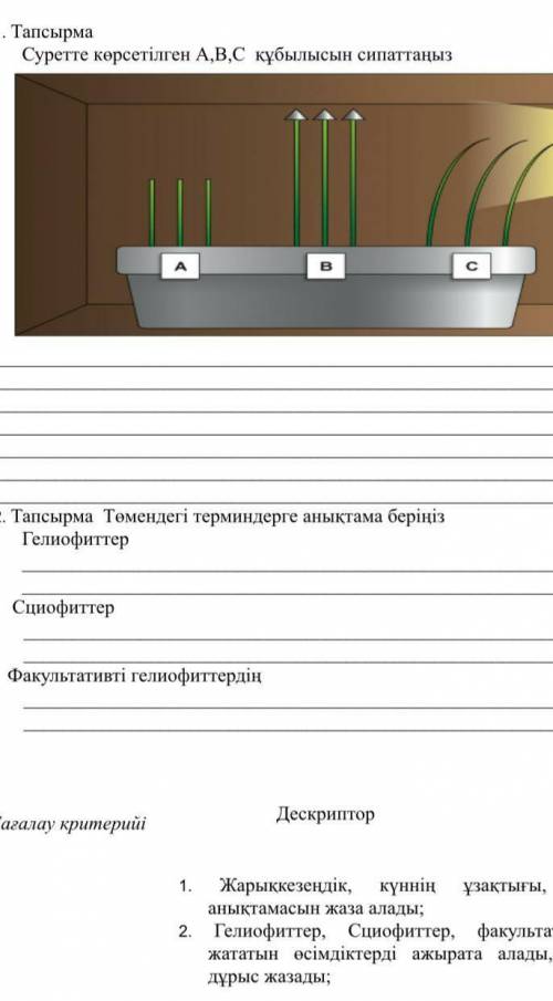 Суретте көрсетілген А,В,С, құбылысын сипатта
