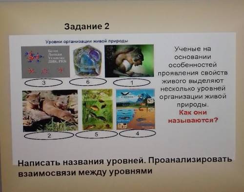 если не трудно) Сейчас уже здавать(