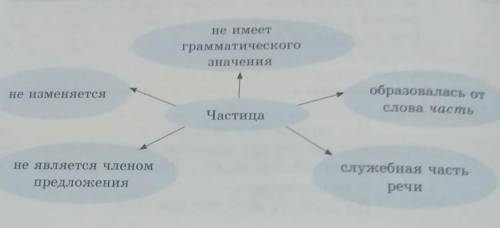 3. Сравните полученную из стихотворения информацию с данным кластером. Сделайте вывод 