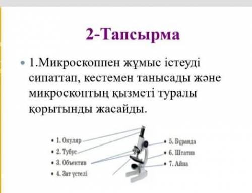 Көмектесіндерші жаратылыстану 