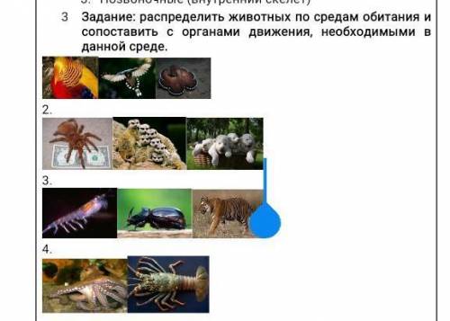 вопрос жизни и смерти кому не сложно
