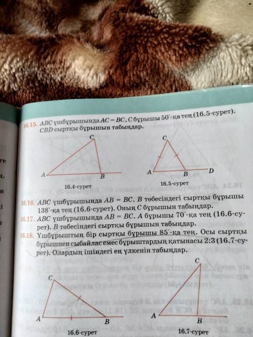 дайте ответ на все вопросы