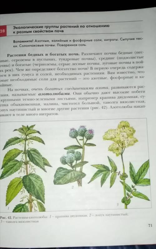 Экология 6 класс составить таблицу. ПОЧВА, РАСТЕНИЯ, УСЛОВИЯ ИЗРОСТА.