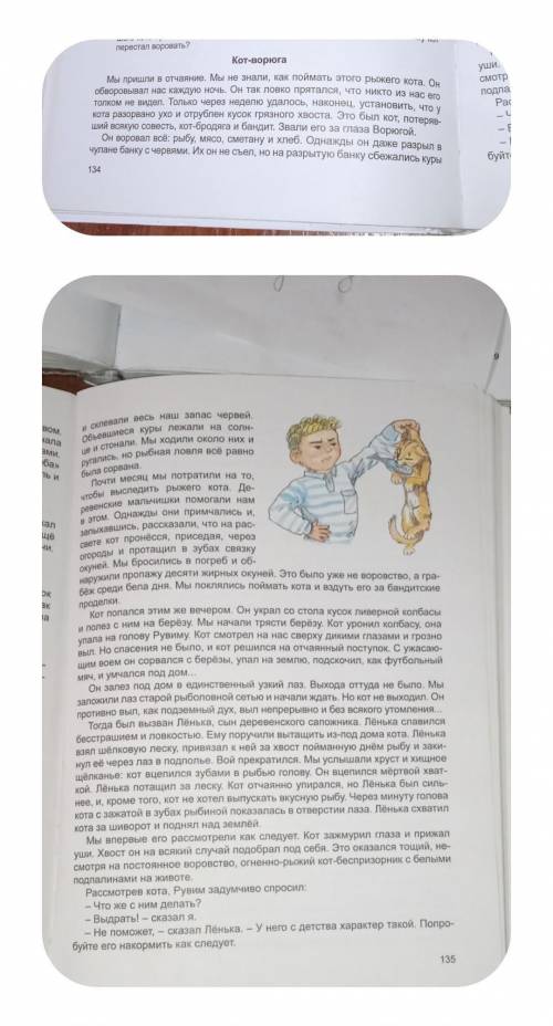сделать исключение упрощение обобщение из истории кот-ворюга 