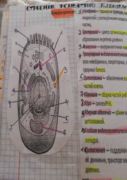 Скажите а что это под цифрой 6?