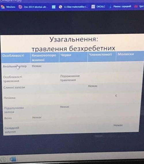 Різноманітність травних систем​