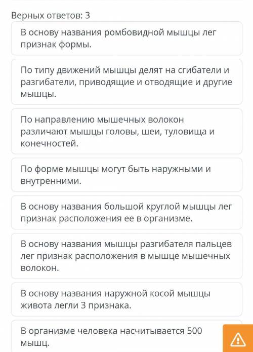 Выбери верные утверждения о разнообразии мышц тела человека.​