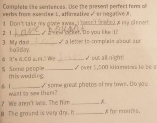 Complete the sentences.Use the present perfect from of verbs exercise affirmative or negative 