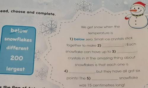 Read, choose and complete. 29belowsnowflakesdifferent200We get snow when thetemperature is1) below z