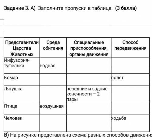 Заполните пропуски в таблице 