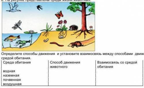 На рисунке представлены среды жизни животных определите движения и установите взаимосвязь
