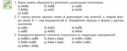 Тема силекция сделайте задание на фото